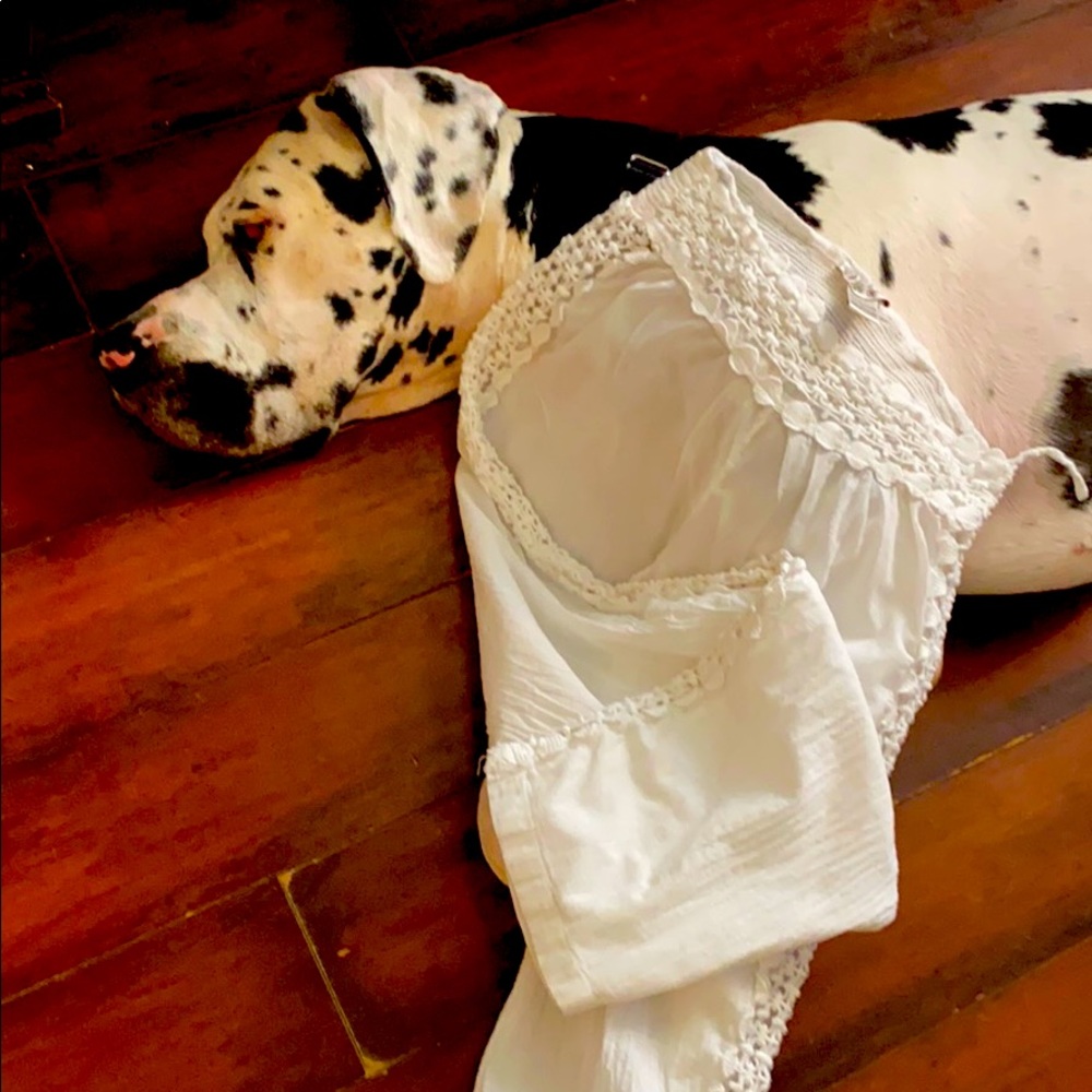 Brand new super chic soft pants